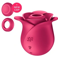 Satisfyer Pro 2 Modern Rose Roz