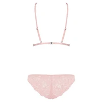 Set Obsessive Delicanta Roz L-XL
