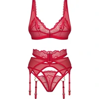 Suspender Set Obsessive Cupide Desir Roșu S-M