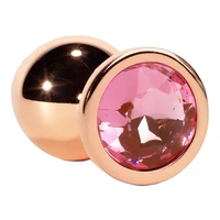 X-MEN Anal Plug Secret Shade Metal L Roz