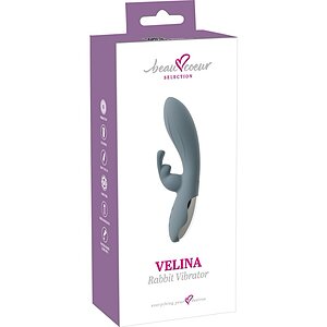 Vibrator Cu Doua Motoare Pentru Clitoris Si Vagin