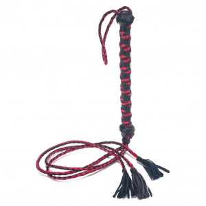 Bici Devil Sticks Tail Tassel Negru Bici Devil Sticks Tail Tassel Negru pe Sexlab.ro