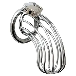 Cușca Chastity With Padlock Argintiu pe SexLab