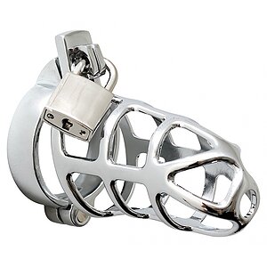 Cușcă Penis Male Chastity Device Argintiu pe SexLab