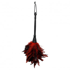 Frisky Feather Duster Roșu pe Sexlab.ro