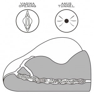 Lovetoy Streetgirls 2 Black, Masturbator TPE 19.5 cm Maro