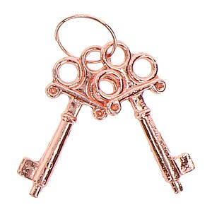 Metal Handcuffs Bronze Auriu