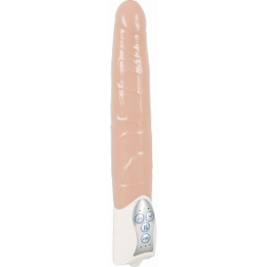 Penis Artificial Cu Vibrații Push It! pe Sexlab.ro