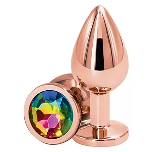 Plug Anal Din Otel Inoxidabil