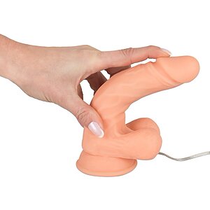 RealFlesh Dong 18cm