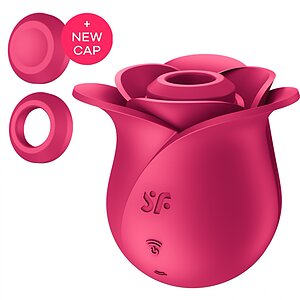 Satisfyer Pro 2 Modern Rose Roz