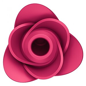Satisfyer Pro 2 Modern Rose Roz