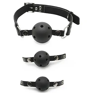 Calus Antrenament Pentru Incepatori