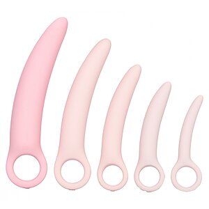 Set Dilatatoare Genitale Inspire Silicone Roz pe Sexlab.ro