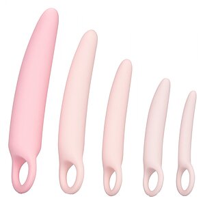 Set Dilatatoare Genitale Inspire Silicone Roz pe SexLab
