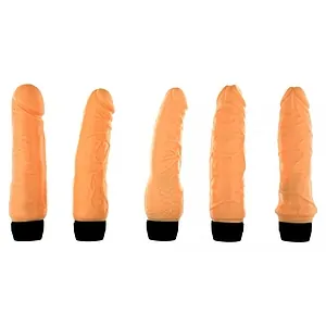 Sex Shoping Set Vibratoare The Magnificent 5buc pe SexLab