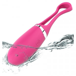 Vibrator Dorcel Secret Delight Roz