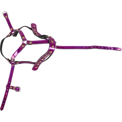 Head Harness Bad Kitty Roz