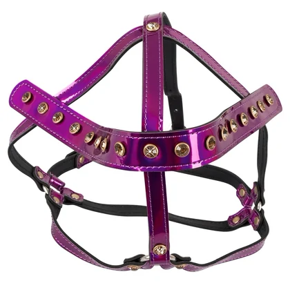 Head Harness Bad Kitty Roz