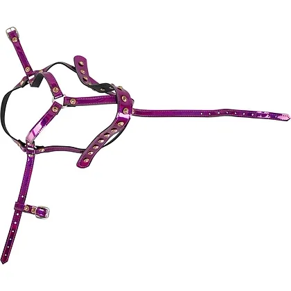 Head Harness Bad Kitty Roz