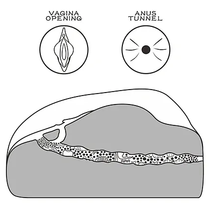 Lovetoy Streetgirls 1 — Masturbator Compact, Realist, TPE Flesh