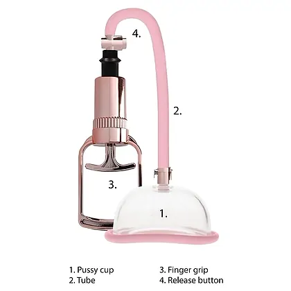 Pompă Vagin Pump Gold Roz