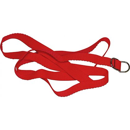 Set Bondage Bad Kitty Roșu