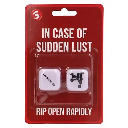 Set Zaruri In Case Of Sudden Love Alb