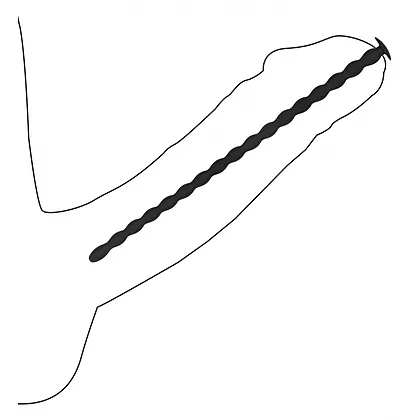 Silicone Spiral Plug Set Advanced Urethral Sounding Negru
