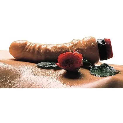 Vibrator You2Toys 17cm